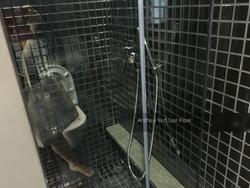 Skysuites@Anson (D2), Apartment #130674632